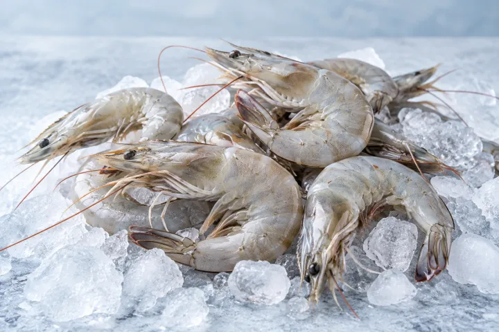 Camarones crudos con cáscara sobre hielo.