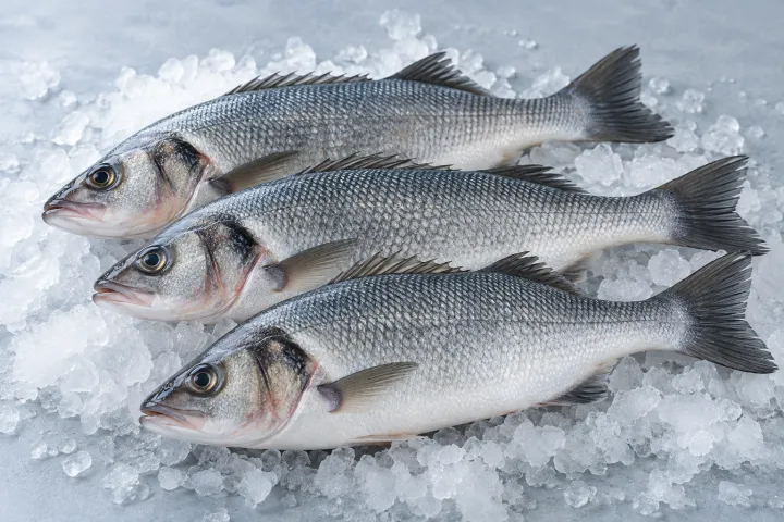 Pescados enteros de escamas plateadas sobre hielo.